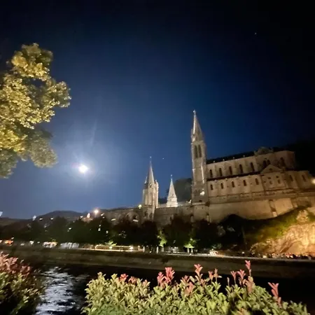 Du Clos Fleuri 3* Lourdes